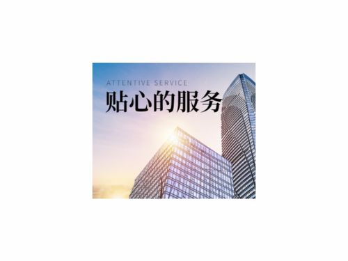 商務服務企業商情與商務信息咨詢 驅動企業決策的關鍵力量