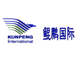 萬里鯤鵬 北京國際商務咨詢領域的領航者與信息橋梁